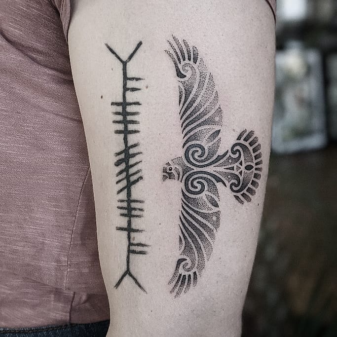 Intricate Celtic designs featuring a majestic hawk Tattoo on skin