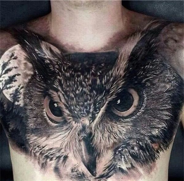 Owl Chest Tattoos Animal Chest Tattoo Tattoo on skin