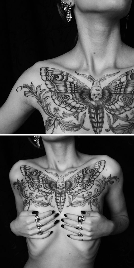 Skullhead Death Moth Tattoo Chest Tattoo Tattoo on skin