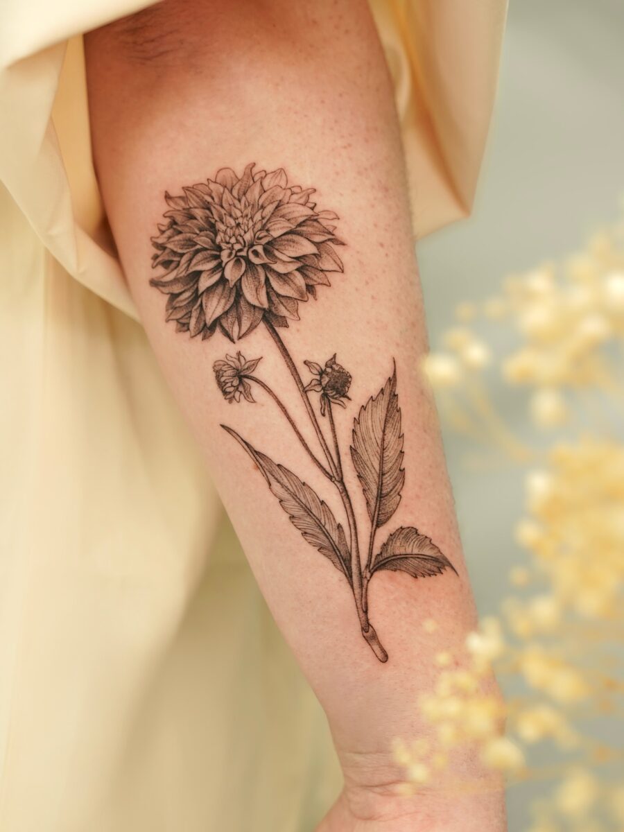 Elegant dahlia tattoo gracing the forearm beautifully Tattoo on skin