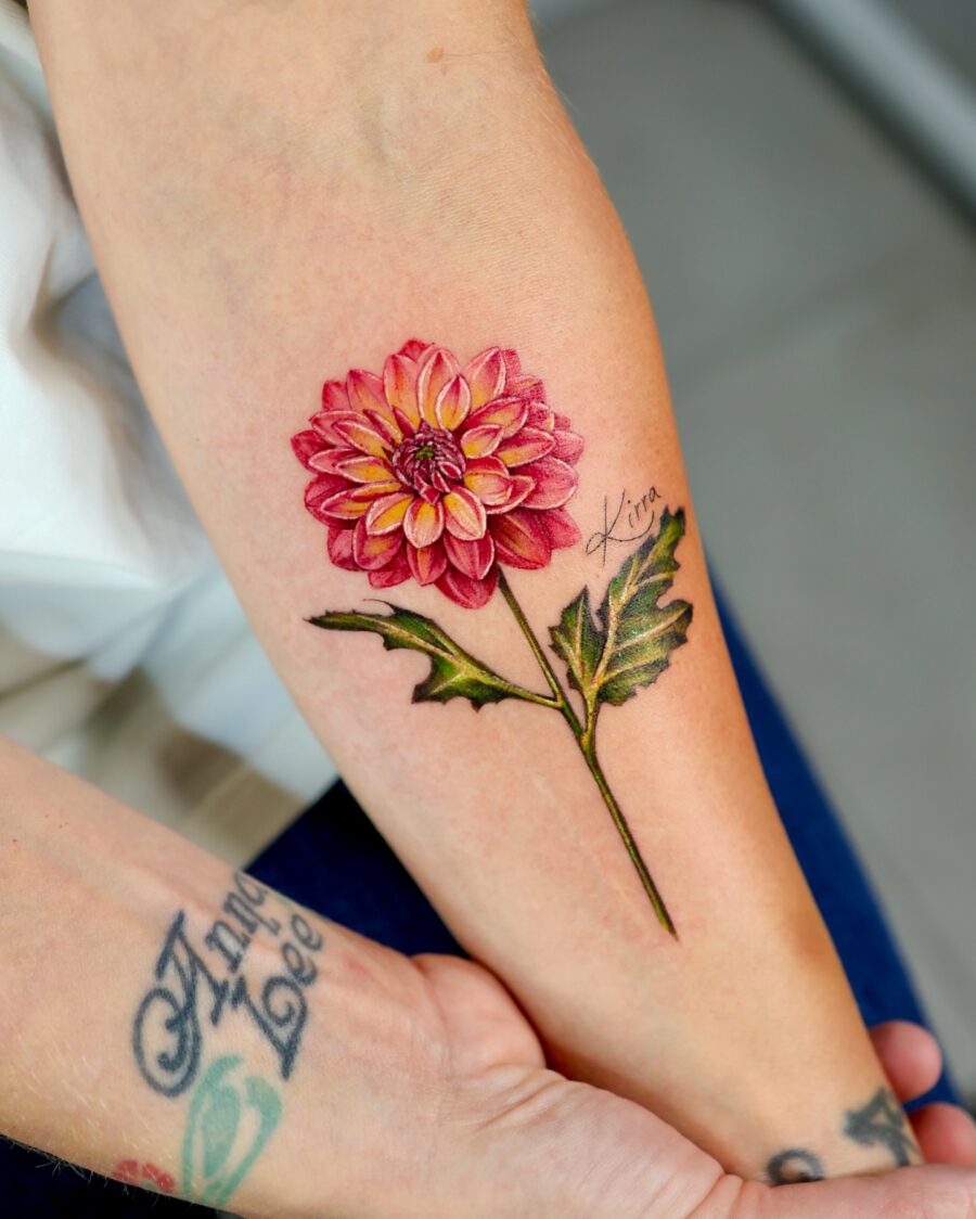 Stunning pink dahlia tattoo on the arm Tattoo on skin