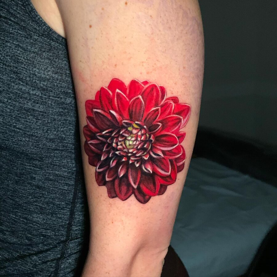 Stunning red dahlia tattoo on the arm Tattoo on skin