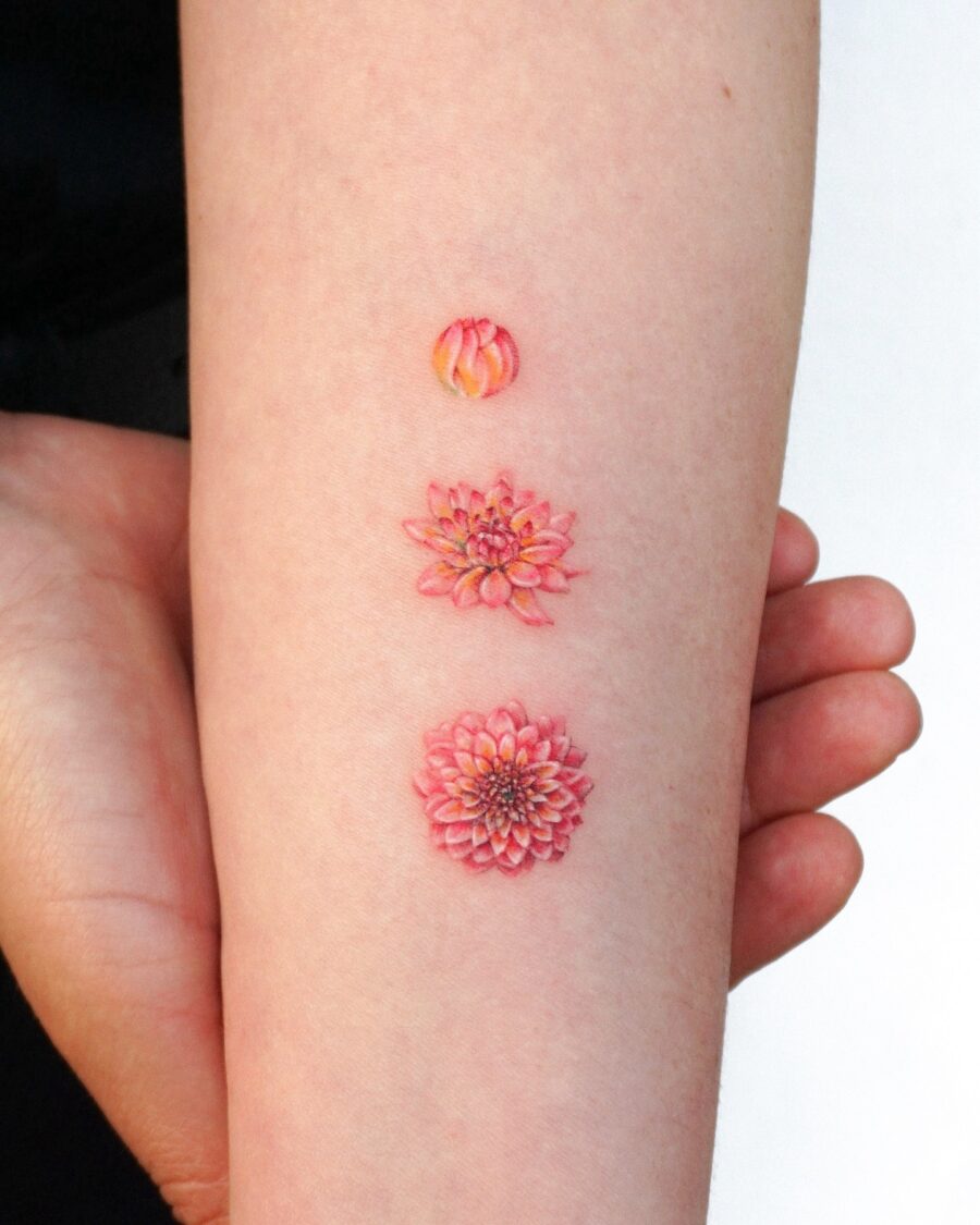 Stunning vibrant dahlia tattoos on a forearm Tattoo on skin