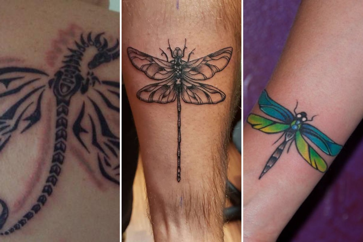 35+ Dragonfly Tattoo Ideas Radiating Grace, Light, and Metamorphosis Featured 3-Panel Lookbook Collage