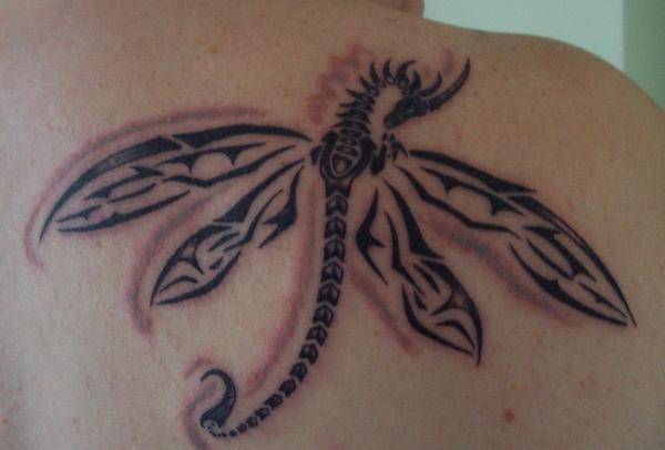 Shadow-Parted Dragonfly Tattoo Design Tattoo on skin