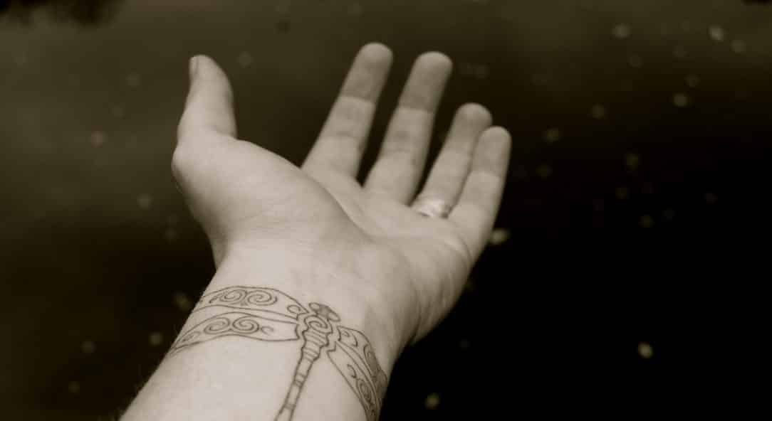 Simple Wrist Dragonfly Tattoo Design Tattoo on skin