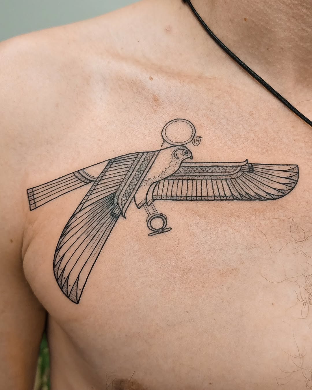 Symbolic Horus Bird Tattoo with Ancient Roots Tattoo on skin
