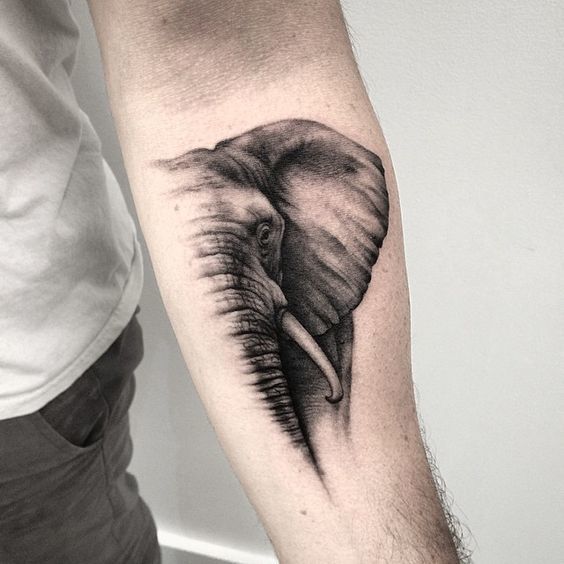 Realistic Half Profile Elephant Head Forearm Tattoo Tattoo on skin
