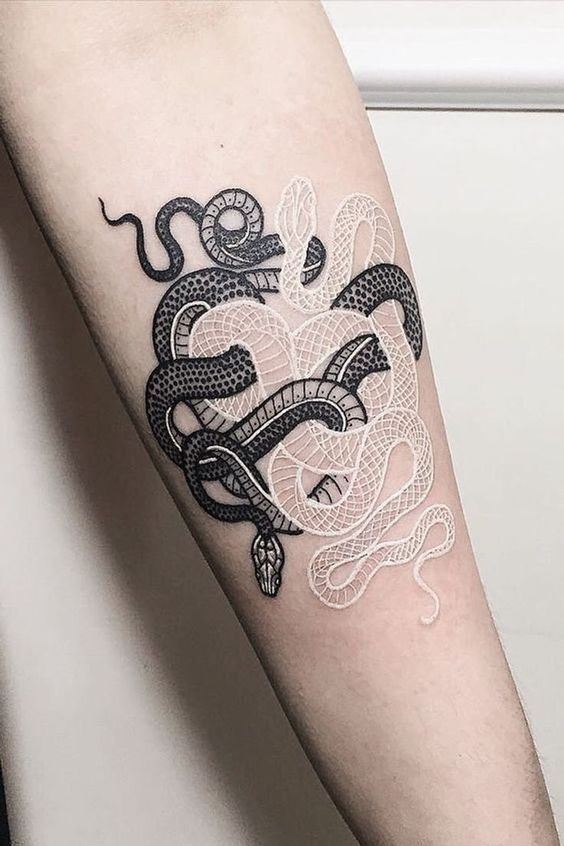 Yin and Yang Coiled Snakes Tattoo on skin
