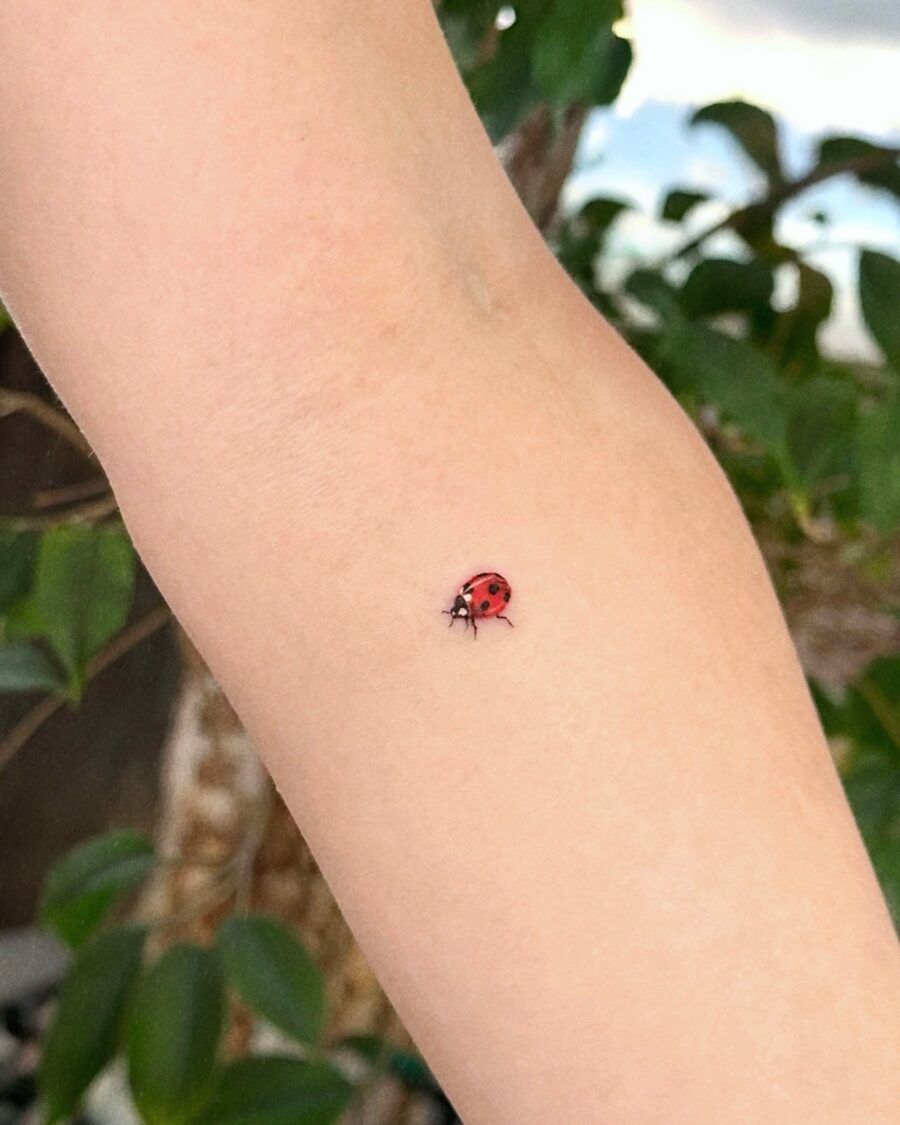 Charming Ladybug Tattoo in a Subtle Spot Tattoo on skin
