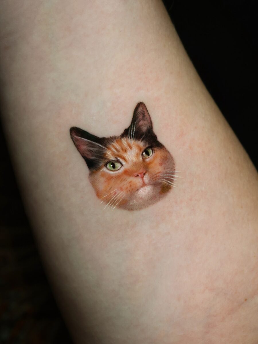 Stunning Hyper-Realistic Cat Tattoo Design Tattoo on skin