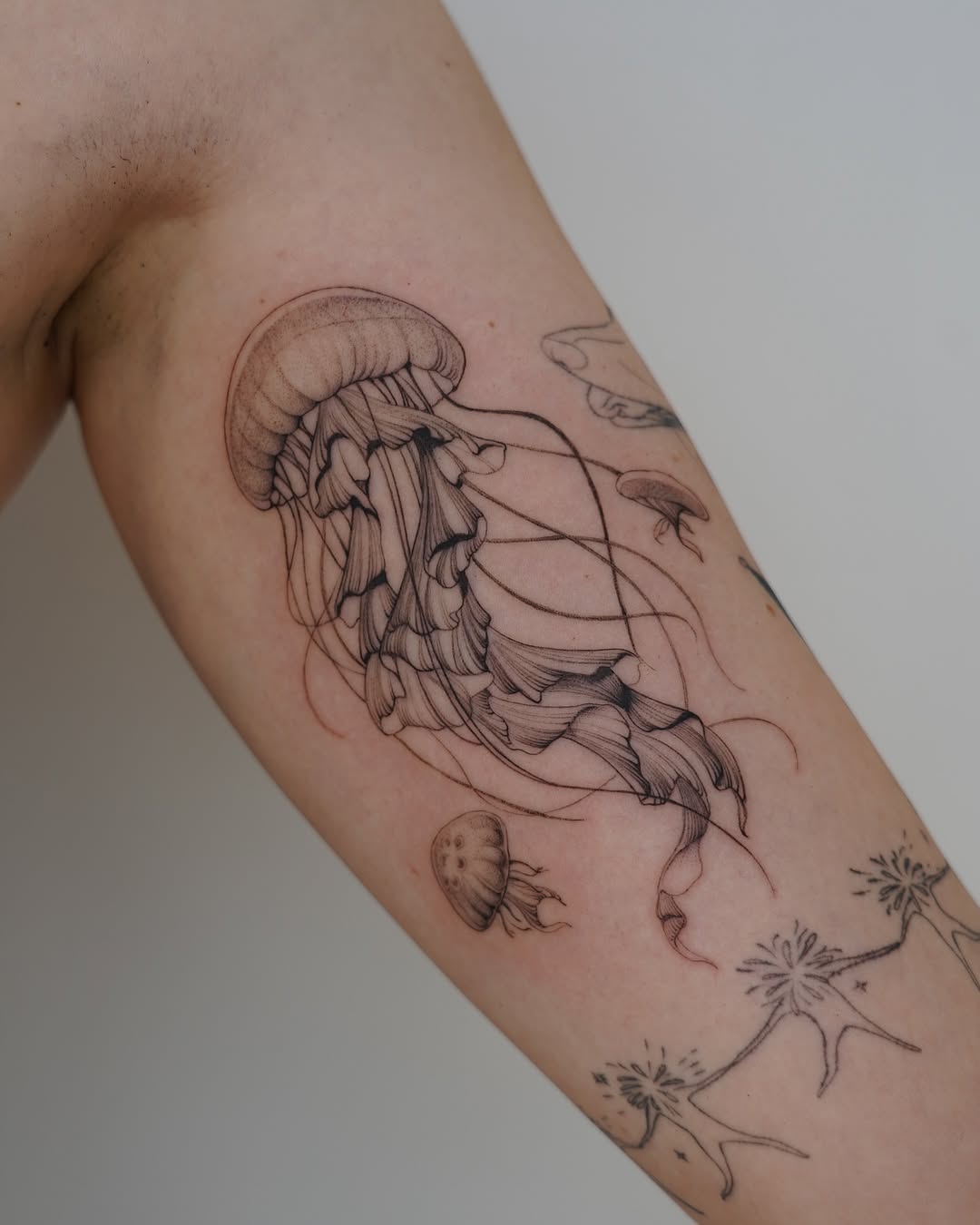 Elegant blackwork jellyfish tattoo on arm Tattoo on skin