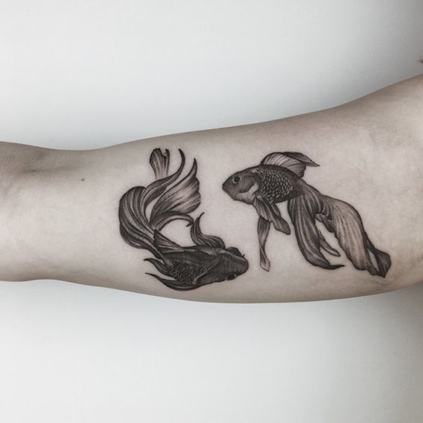 Two Veiltail Goldfish on an Arm Tattoo on skin