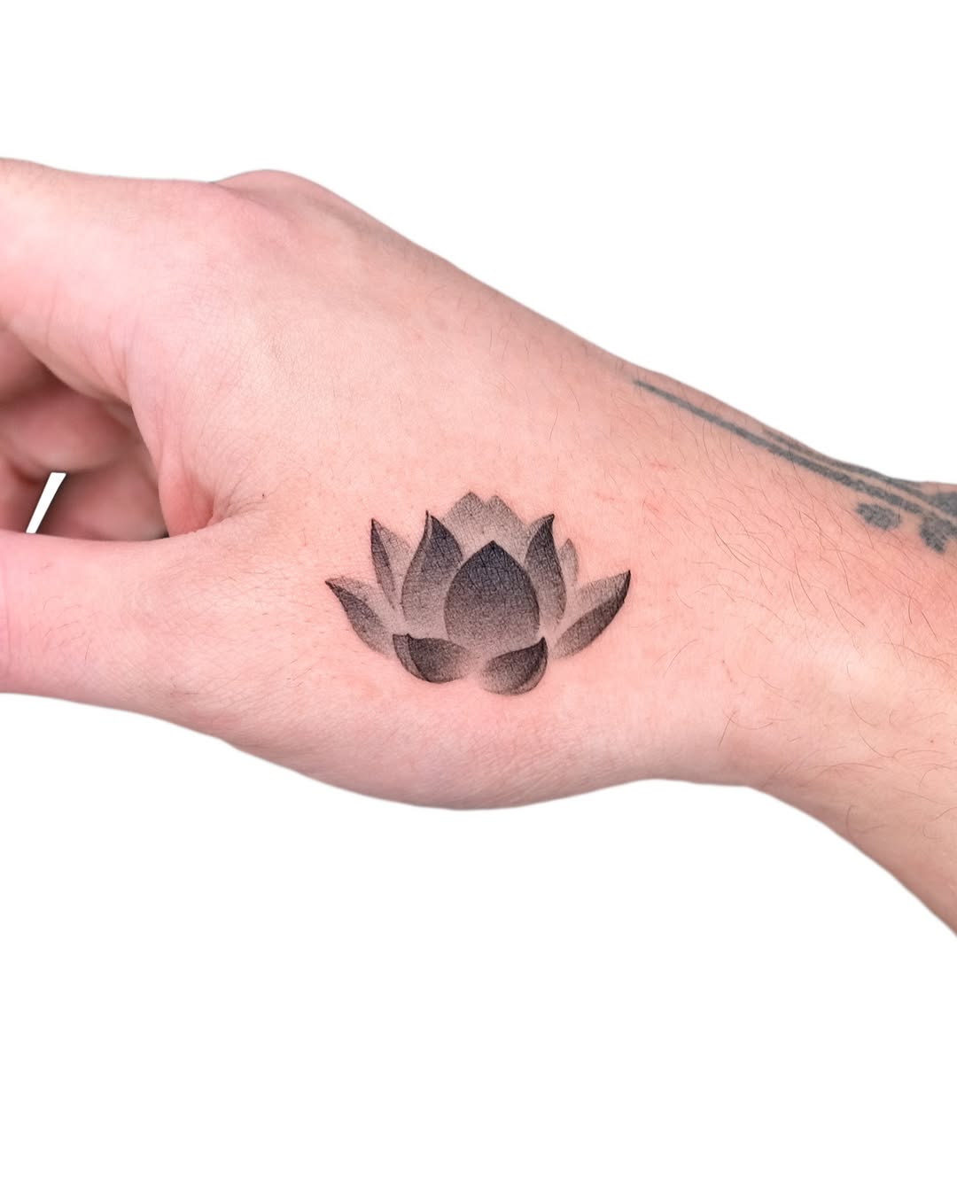 Elegant black and gray lotus flower tattoo design Tattoo on skin