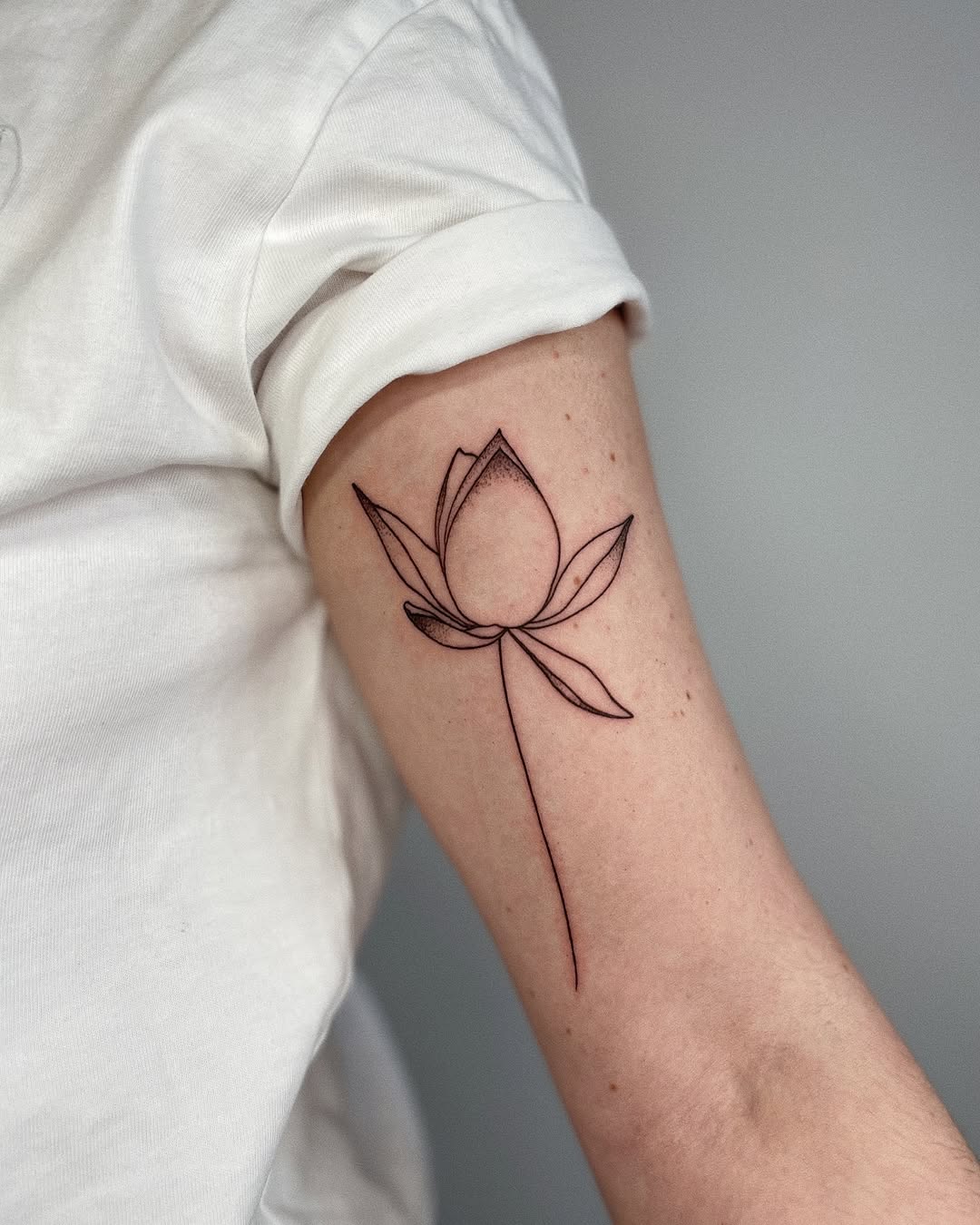 Elegant minimalist lotus tattoo on forearm Tattoo on skin