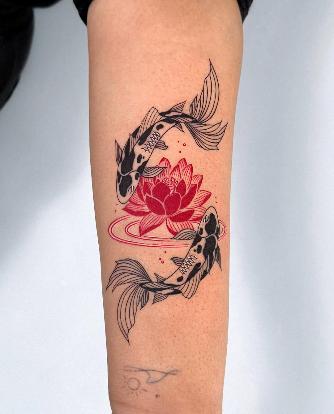 Koi fish with vibrant lotus floral design Tattoo on skin