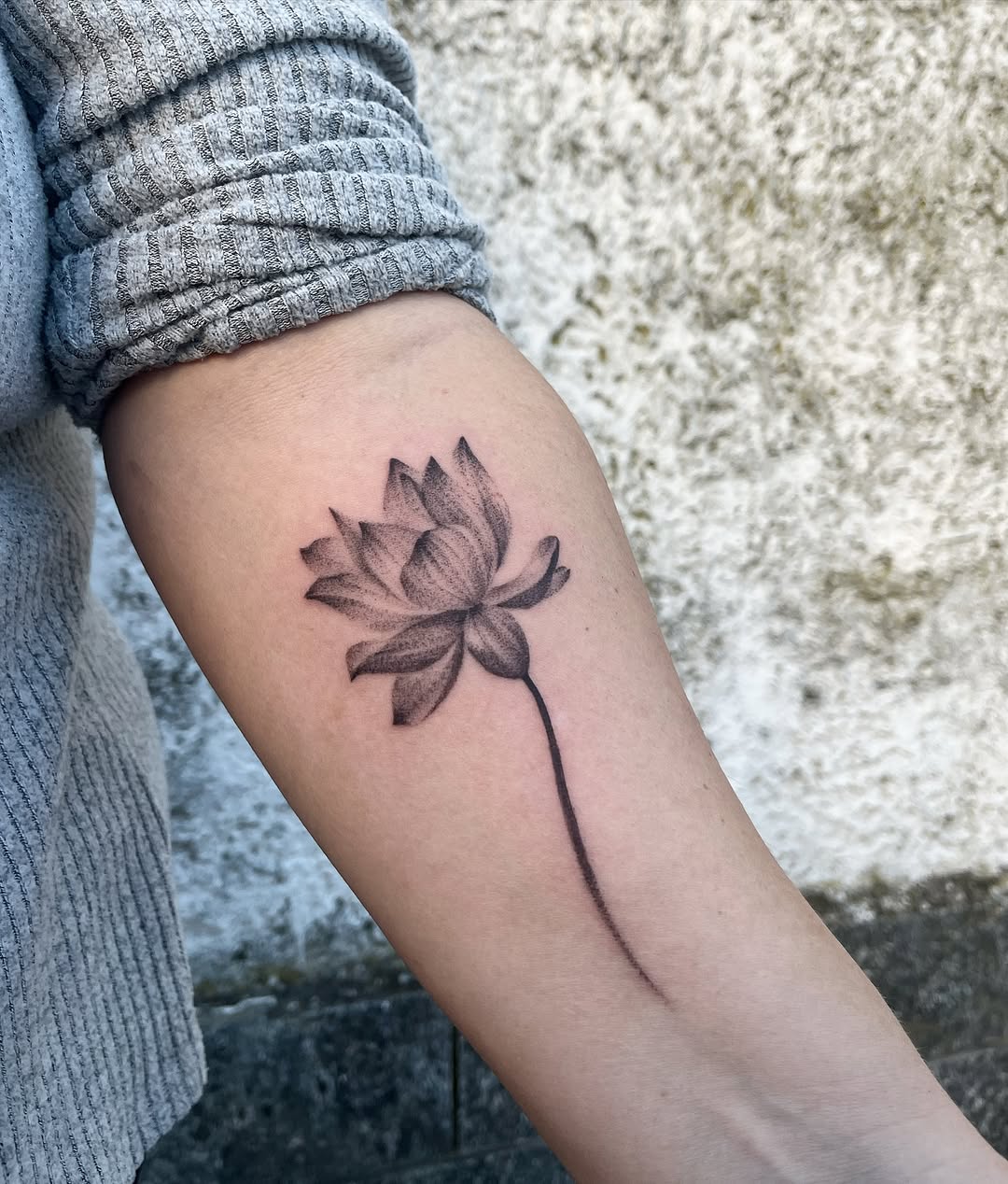 Stunning black and gray lotus flower tattoo Tattoo on skin