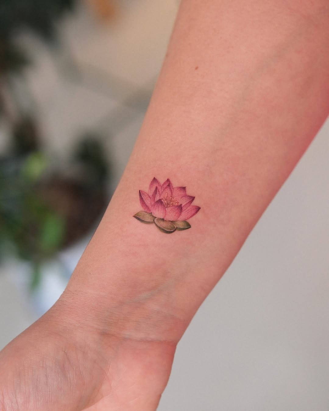 Vibrant pink lotus tattoo on the arm Tattoo on skin