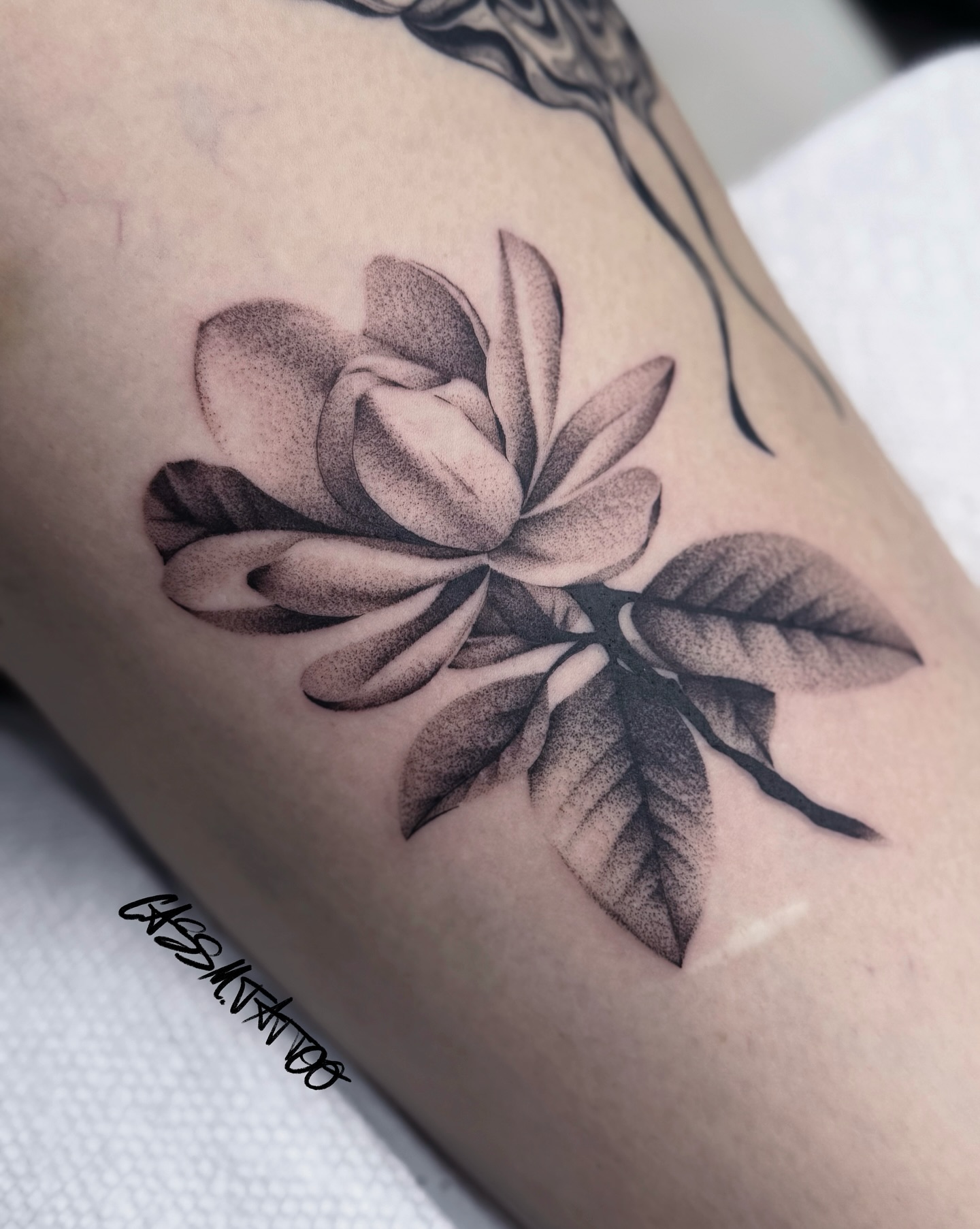 Beautiful blackwork magnolia tattoo design Tattoo on skin