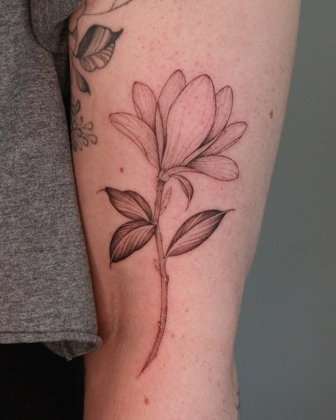Elegant magnolia tattoo showcasing natural beauty Tattoo on skin
