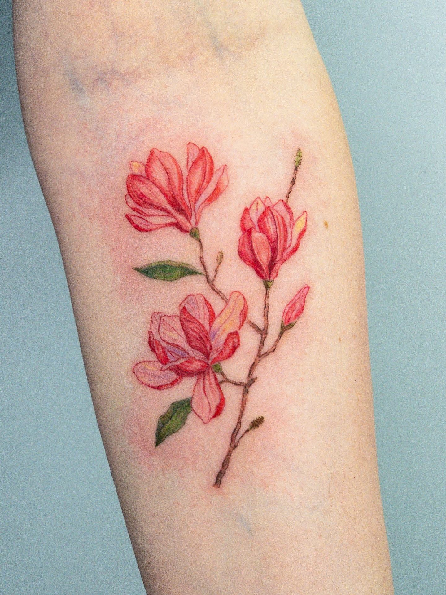 Stunning magnolia tattoo with vibrant colors Tattoo on skin