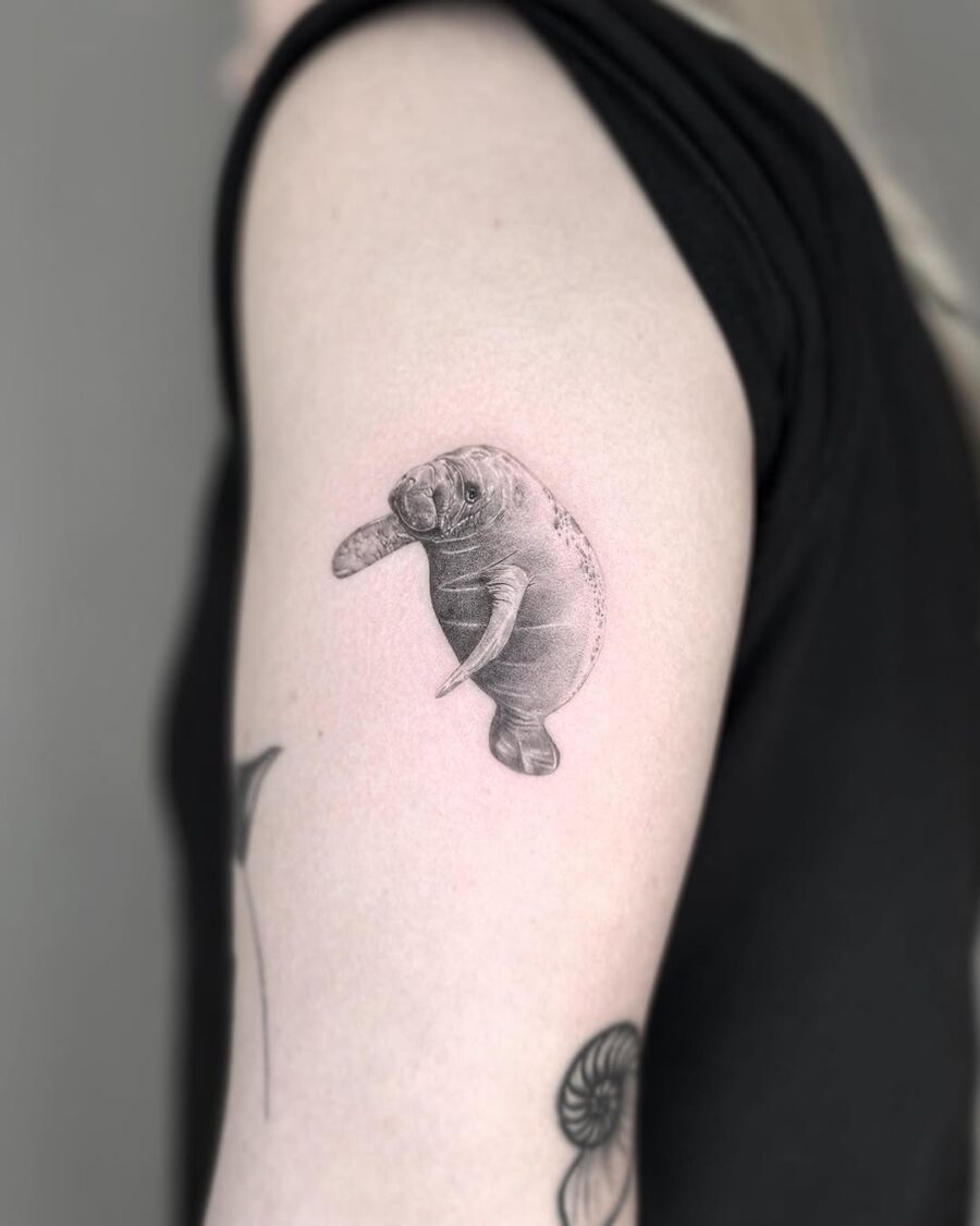 Realistic manatee tattoo on bicep Tattoo on skin