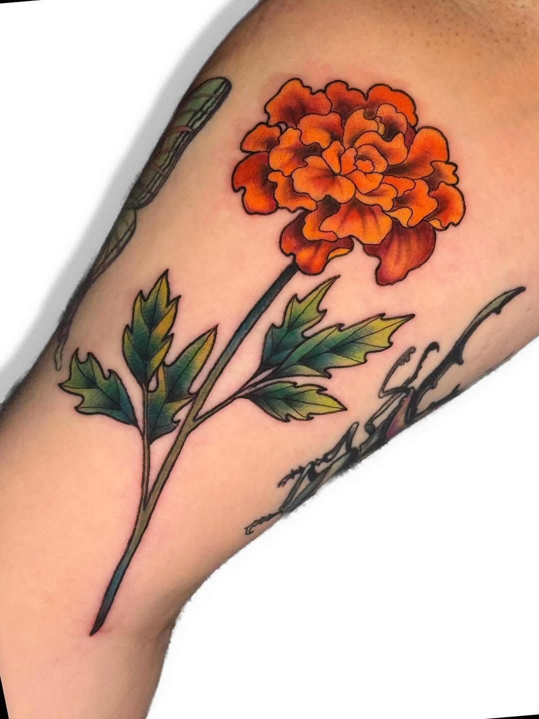 Vibrant marigold tattoo on the arm Tattoo on skin