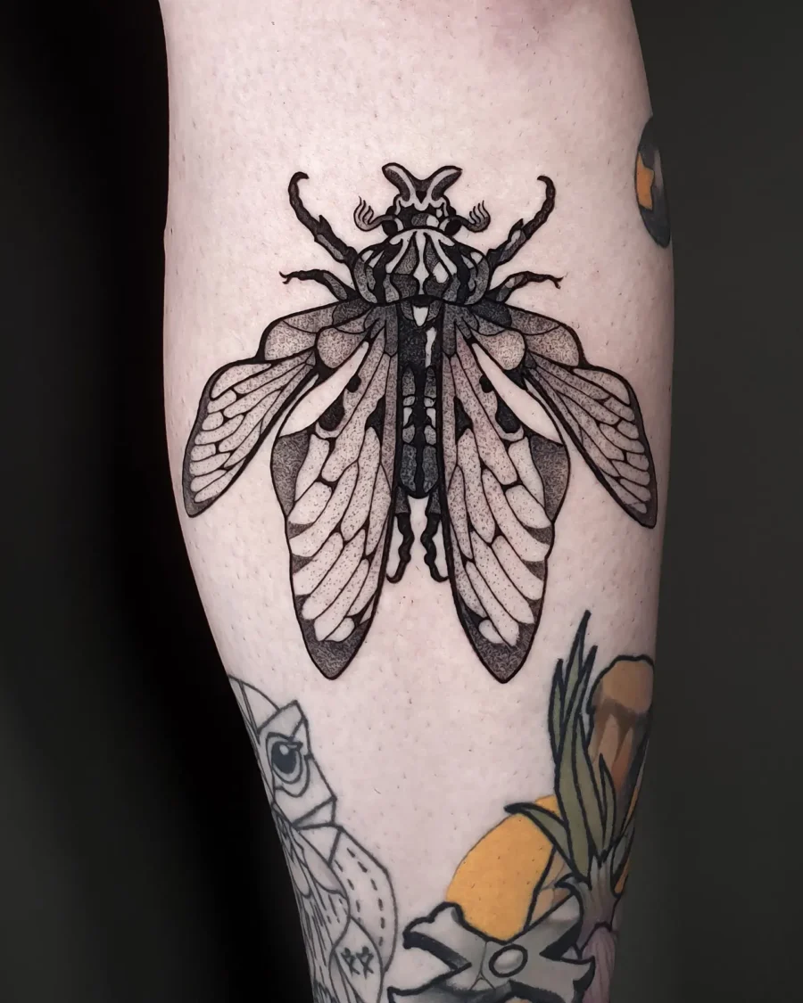 Bold cicada tattoo with intricate details Tattoo on skin