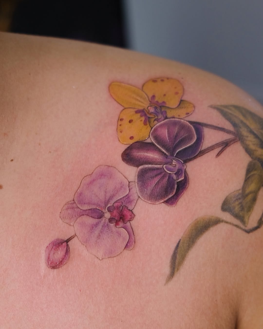 Colorful orchid tattoo on the shoulder Tattoo on skin