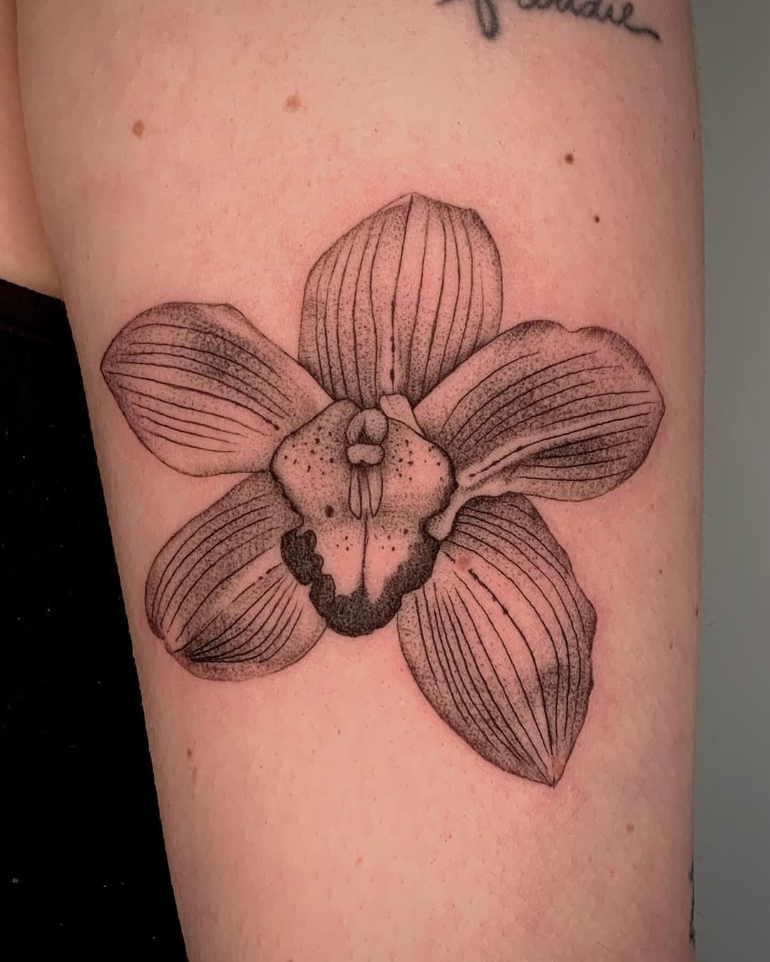 Elegant black-and-gray orchid tattoo design Tattoo on skin
