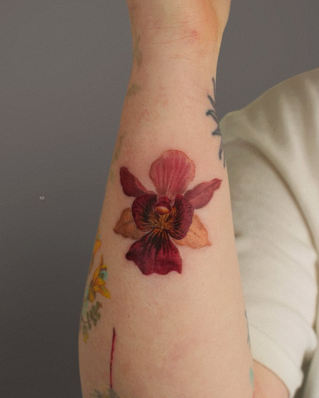 Vibrant orchid tattoo on the forearm Tattoo on skin