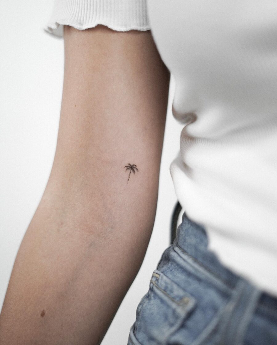 Delicate palm tree design on the arm Tattoo on skin