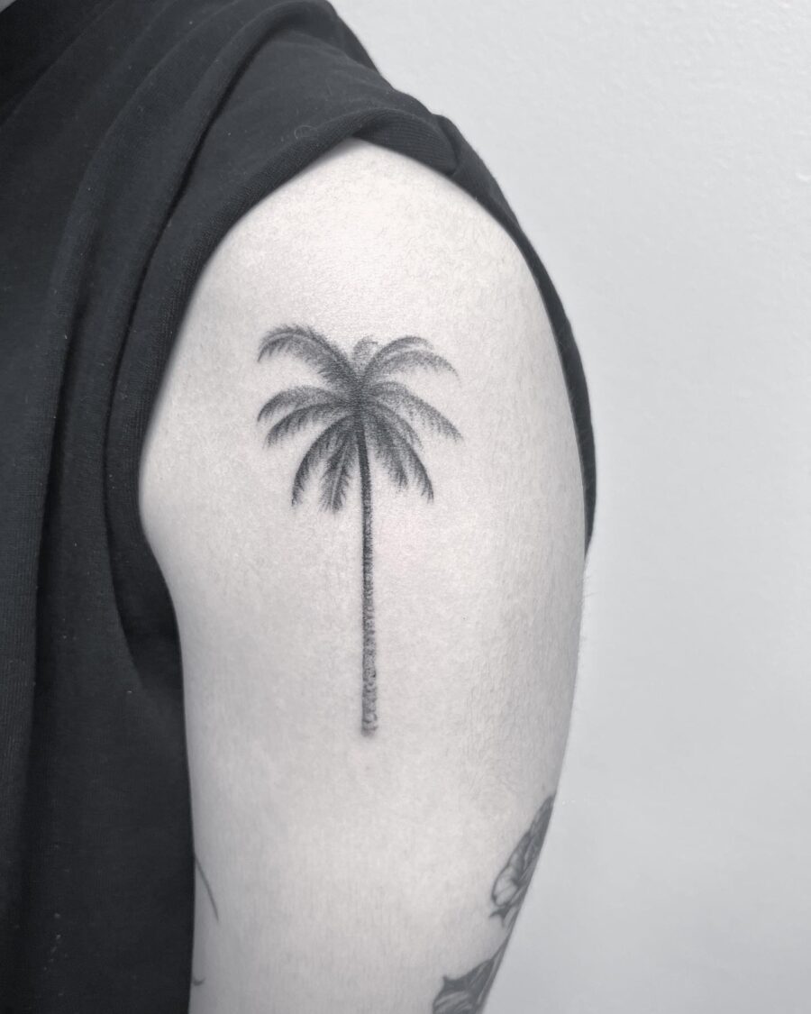 Elegant palm tree tattoo on the arm Tattoo on skin