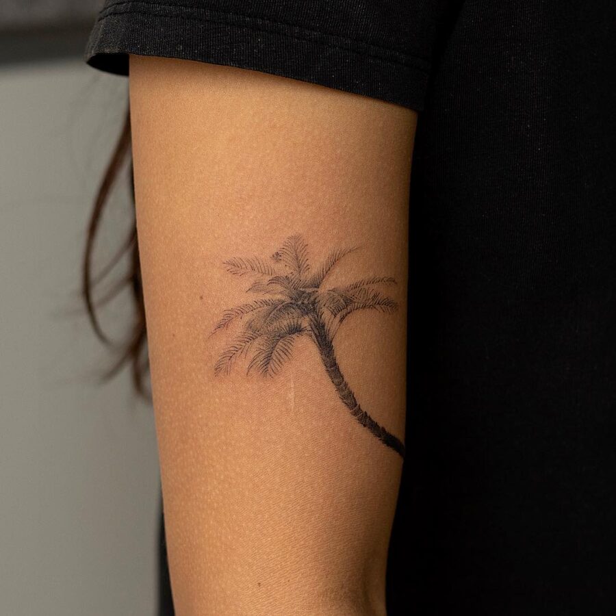 Minimalist palm tree tattoo on arm Tattoo on skin