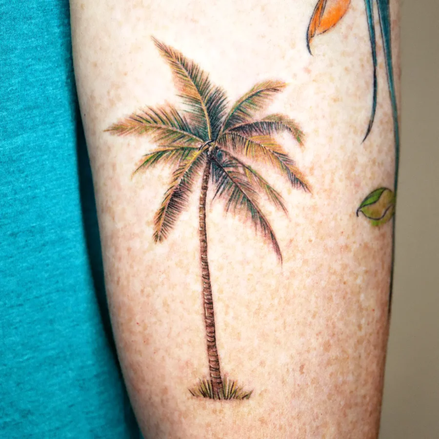 Vibrant palm tree tattoo on a forearm Tattoo on skin