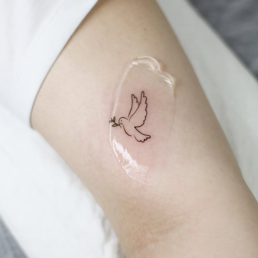 Simple dove tattoo symbolizes peace and freedom Tattoo on skin