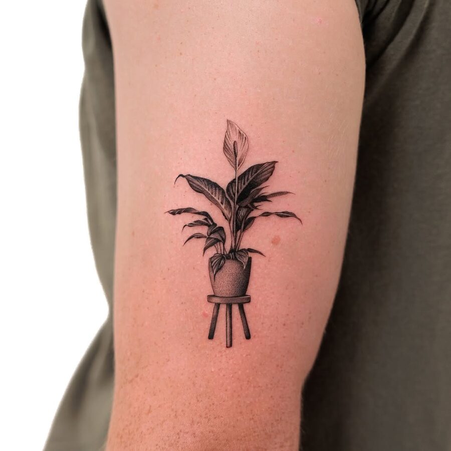Stylish potted plant tattoo symbolizing peace Tattoo on skin