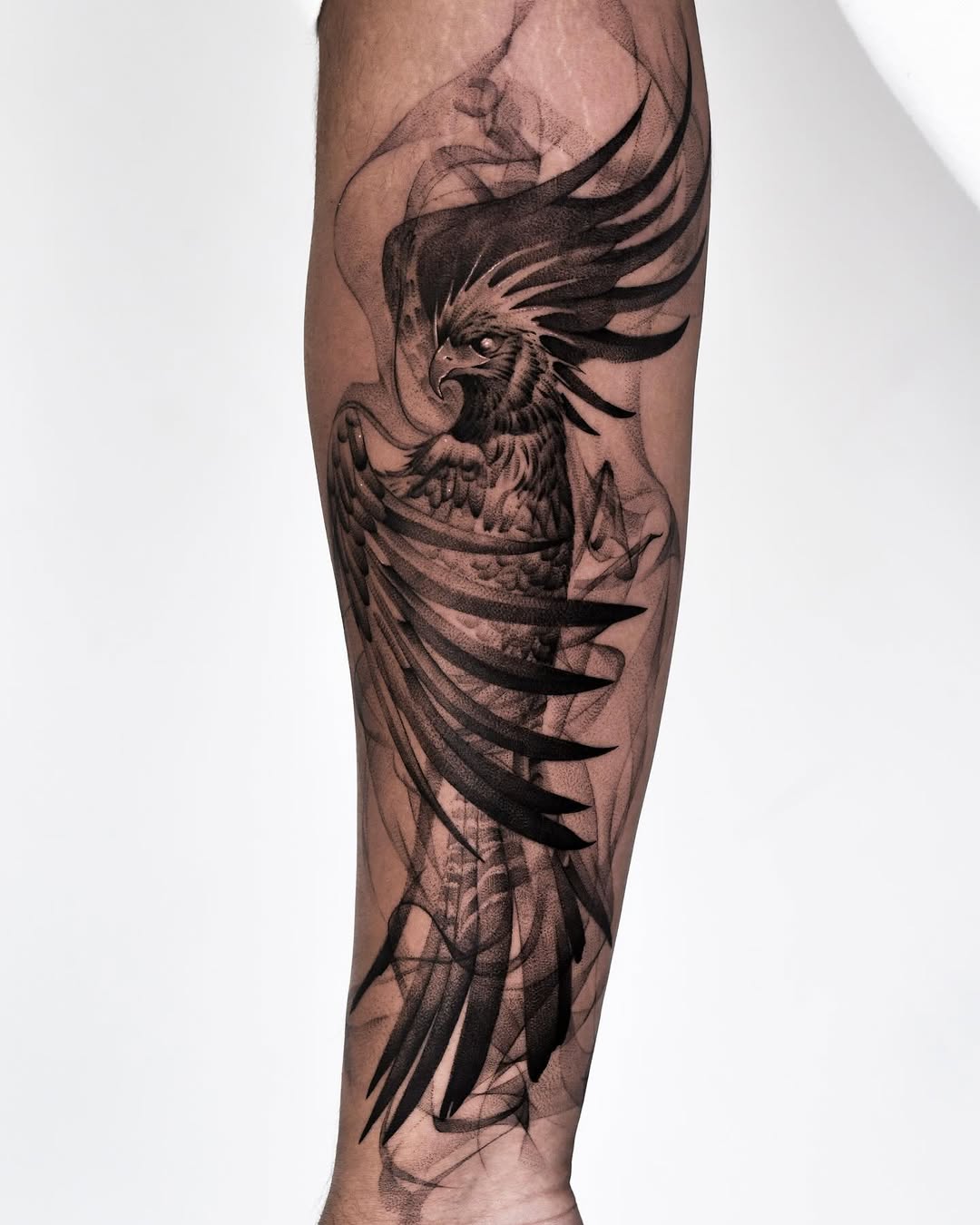 Stunning black-and-gray phoenix tattoo design Tattoo on skin