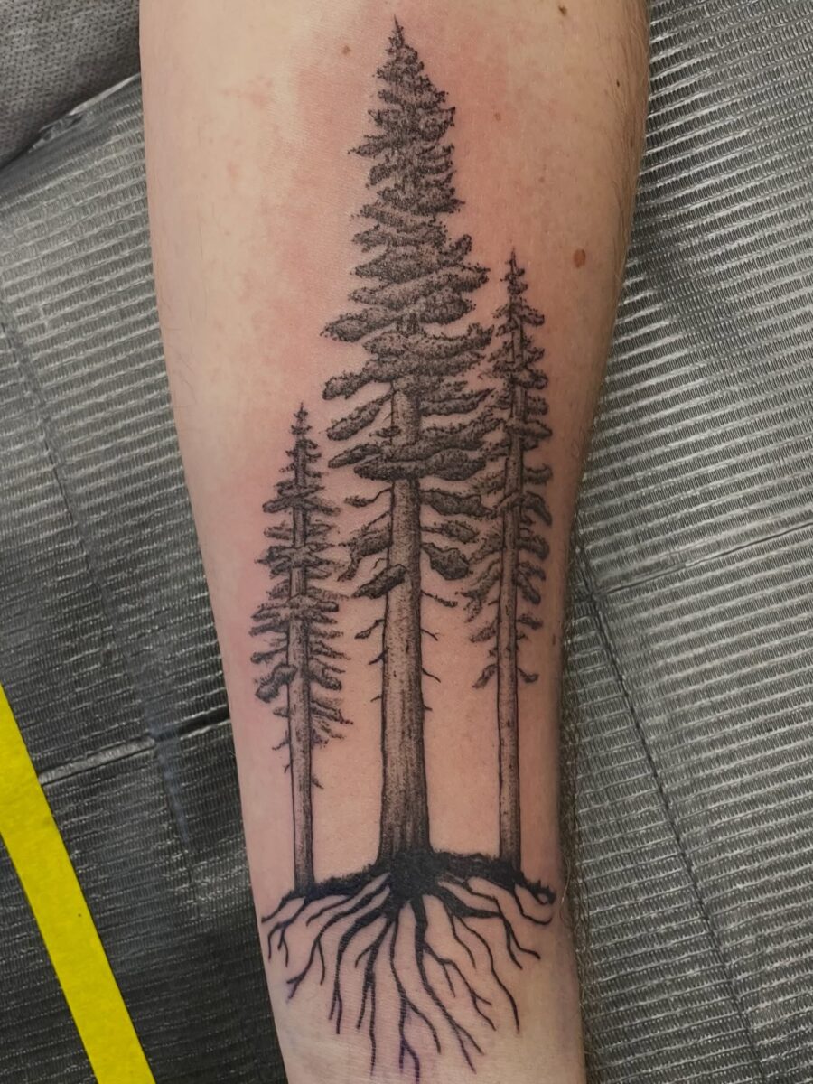 Elegant black and grey redwood tree tattoo Tattoo on skin