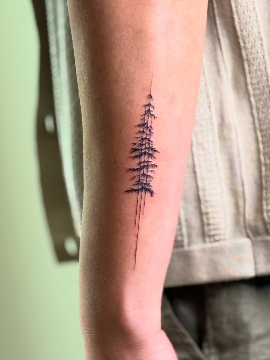 Elegant black ink redwood tree tattoo design Tattoo on skin