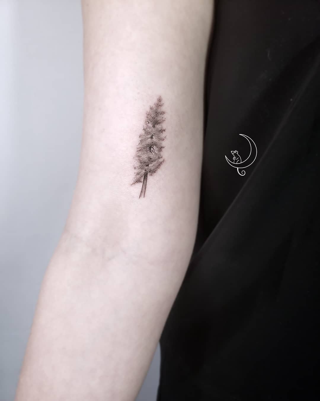 Elegant black ink redwood tree tattoo design Tattoo on skin