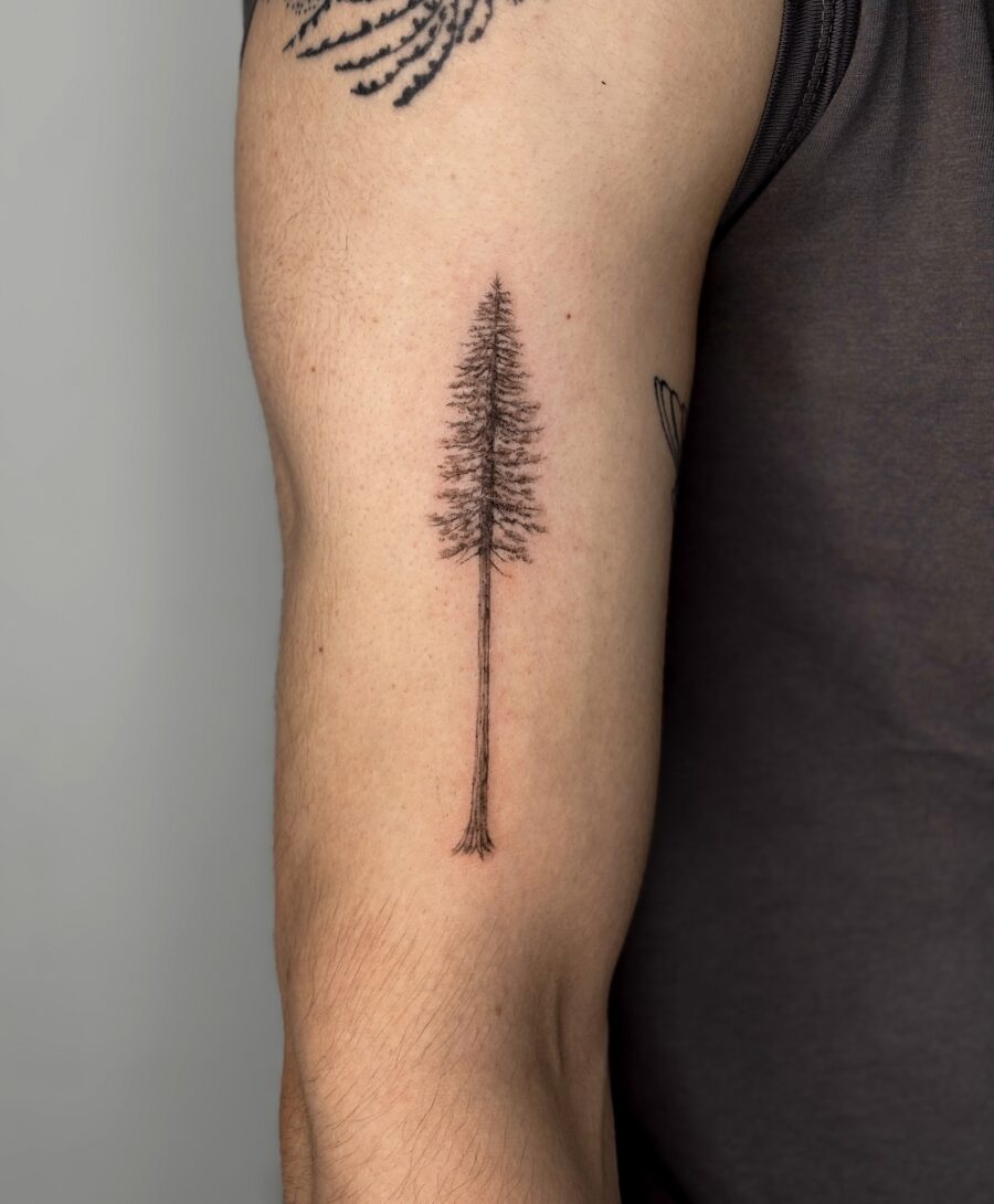 Elegant Minimalist Redwood Tattoo on Forearm Tattoo on skin