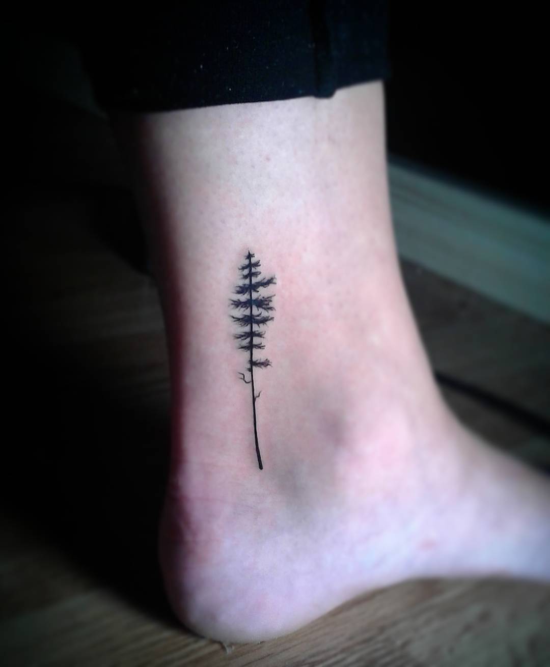 Elegant minimalist redwood tree ankle tattoo Tattoo on skin