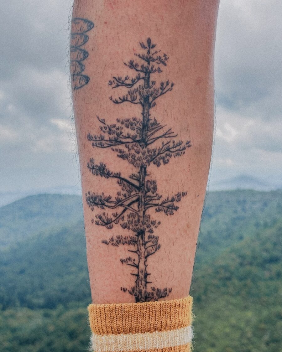 Elegant redwood tattoo on a scenic backdrop Tattoo on skin