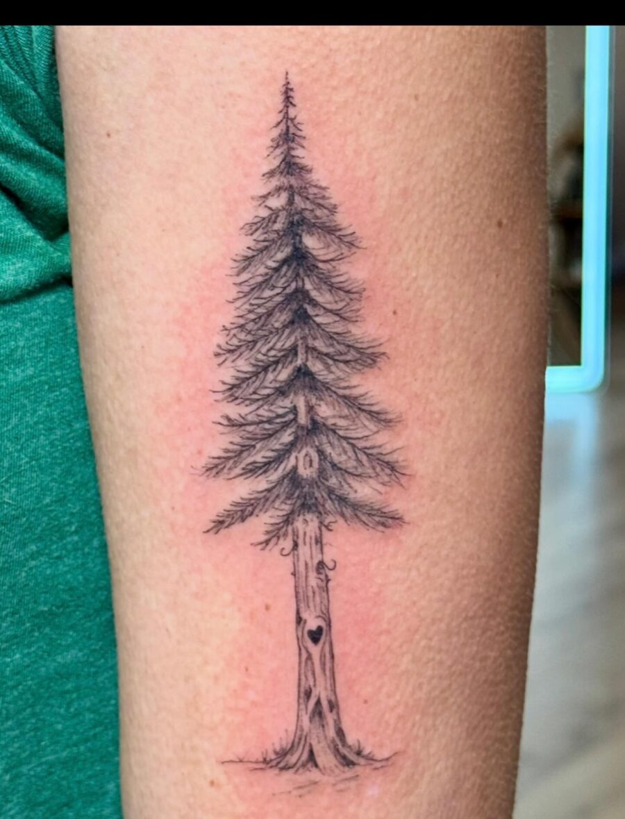 Elegant redwood tattoo with intricate details Tattoo on skin