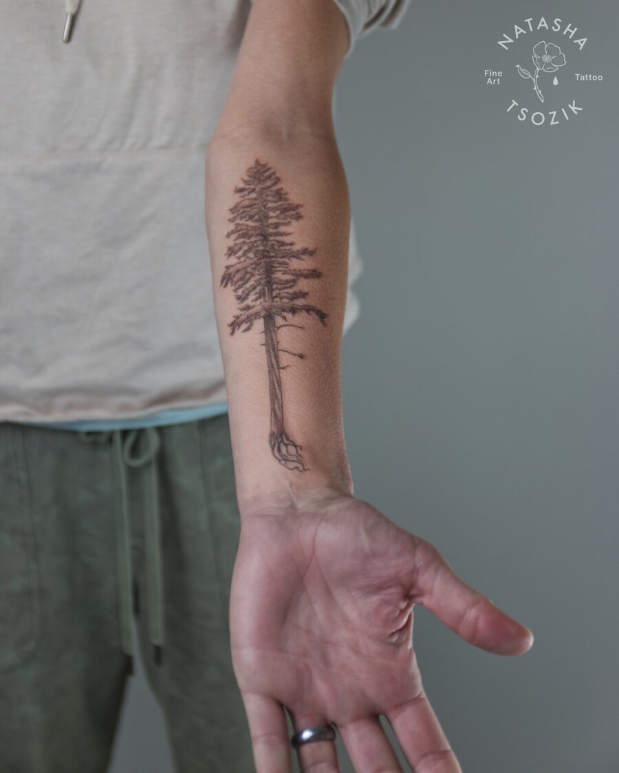 Elegant redwood tree tattoo on the arm Tattoo on skin