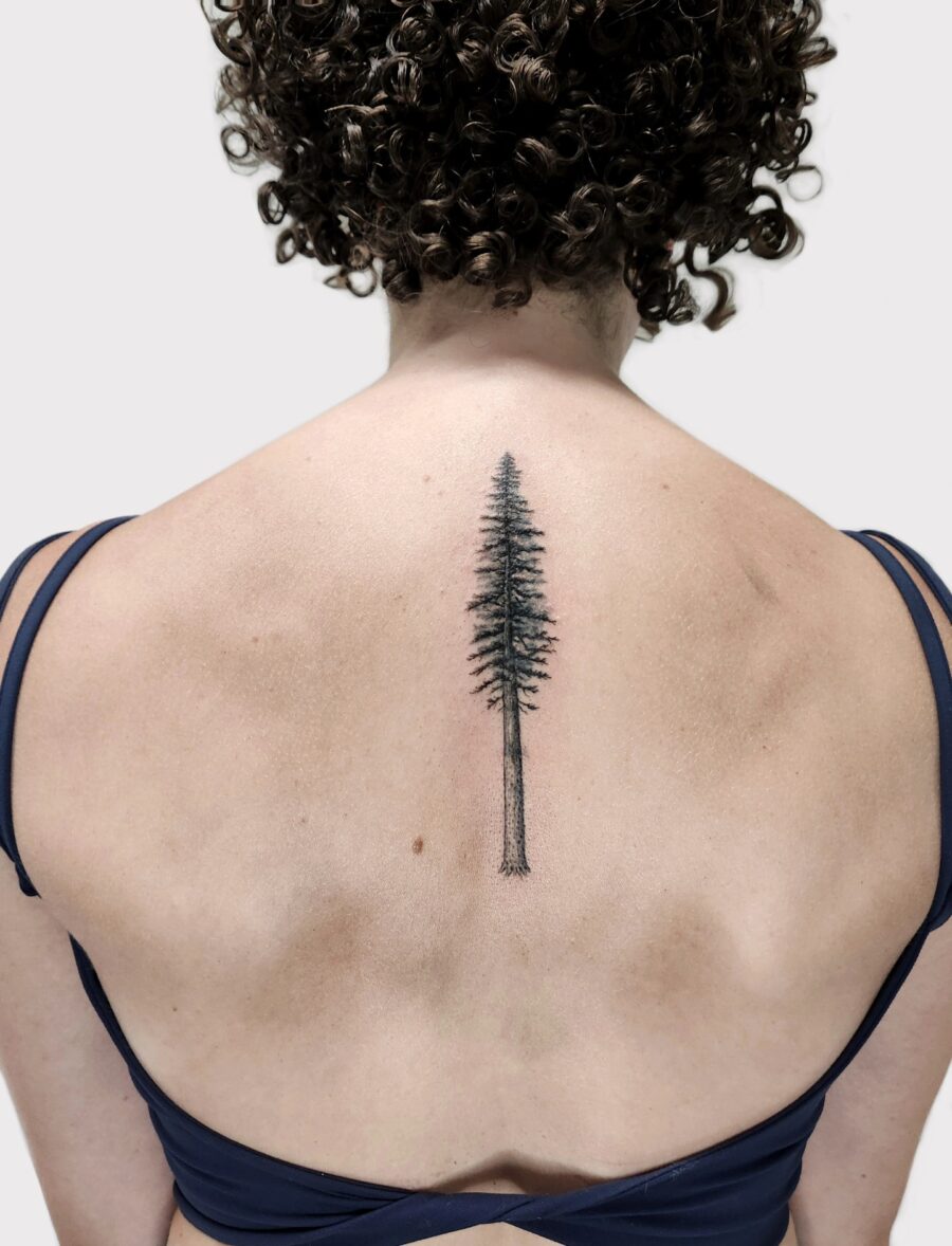 Elegant redwood tree tattoo on the back Tattoo on skin