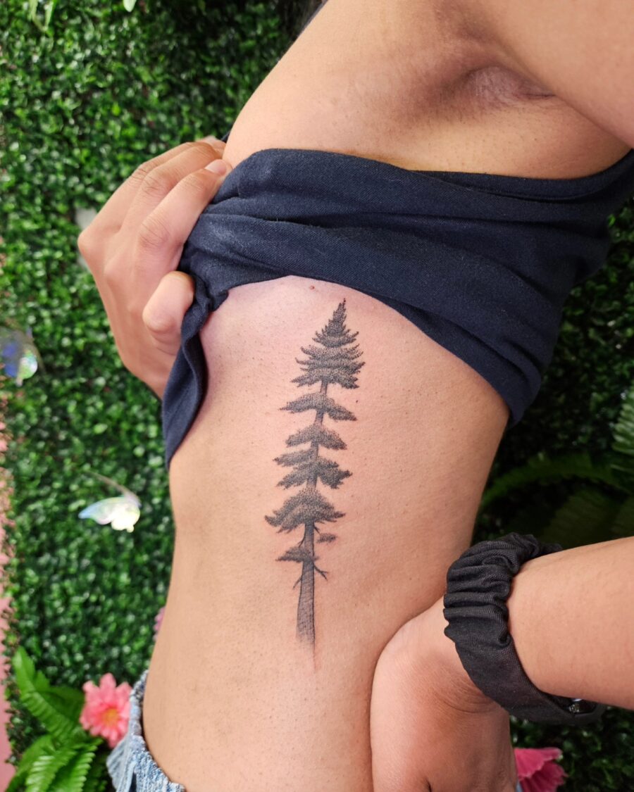 Elegant redwood tree tattoo on the side Tattoo on skin