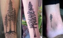 35+ Redwood Tree Tattoo Ideas Channeling Ancient Majestic Strength
