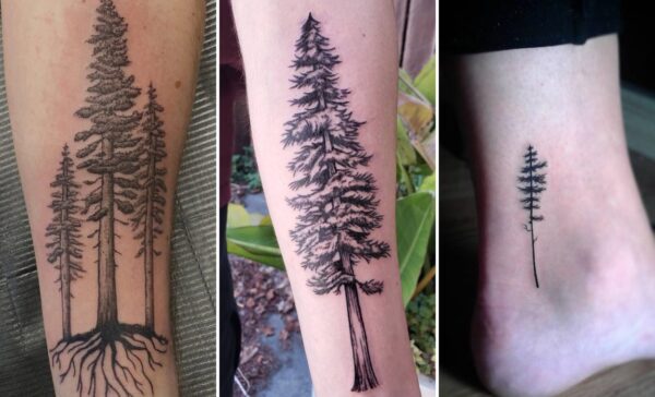 35+ Redwood Tree Tattoo Ideas Channeling Ancient Majestic Strength